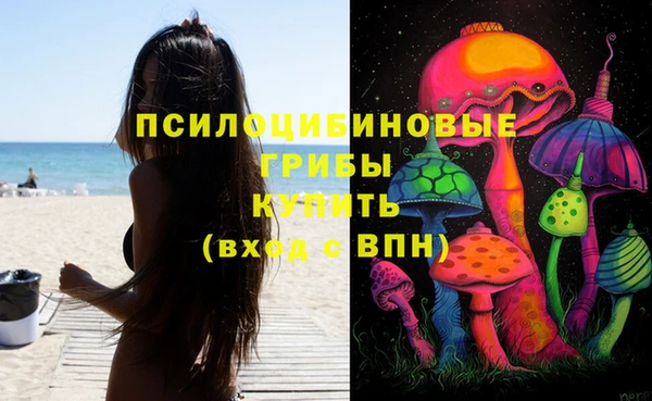 спиды Алексеевка