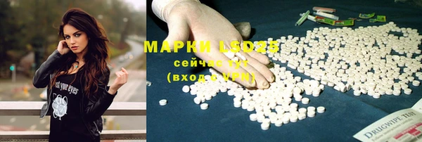 дмт Алзамай