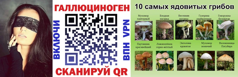 Псилоцибиновые грибы мицелий  где купить   Севастополь 